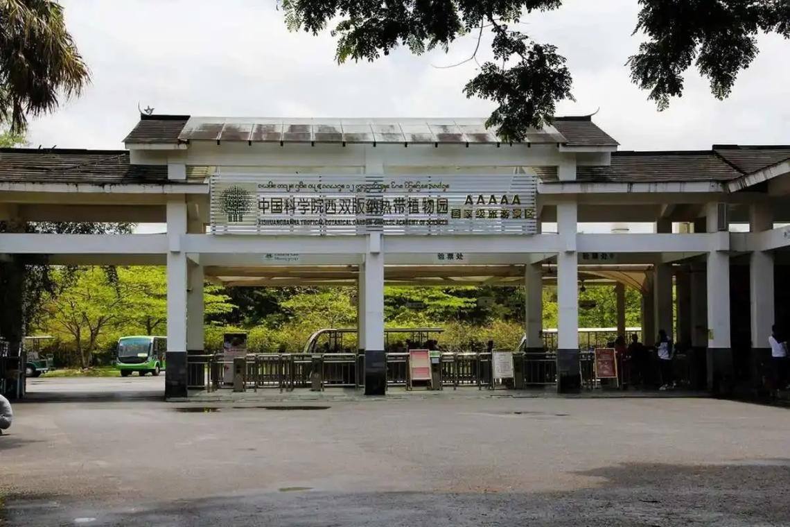 图片关键词
