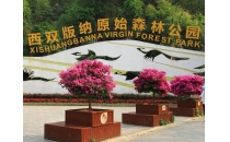 西双版纳原始森林公园景区