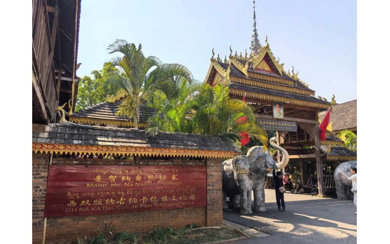 云南通报&ldquo;低价团&rdquo;相关问题调查结果